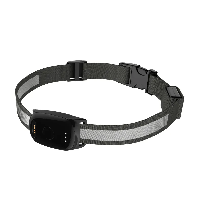 Na co by měli kupující dávat pozor při výběru nejlepšího lokalizačního zařízení pro psa?