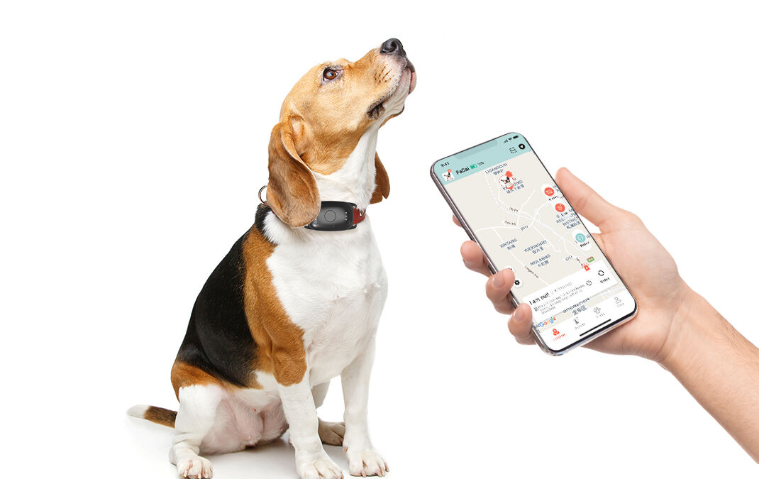 GPS Tracking Apps: Making Pet Tracking Easier Than Ever