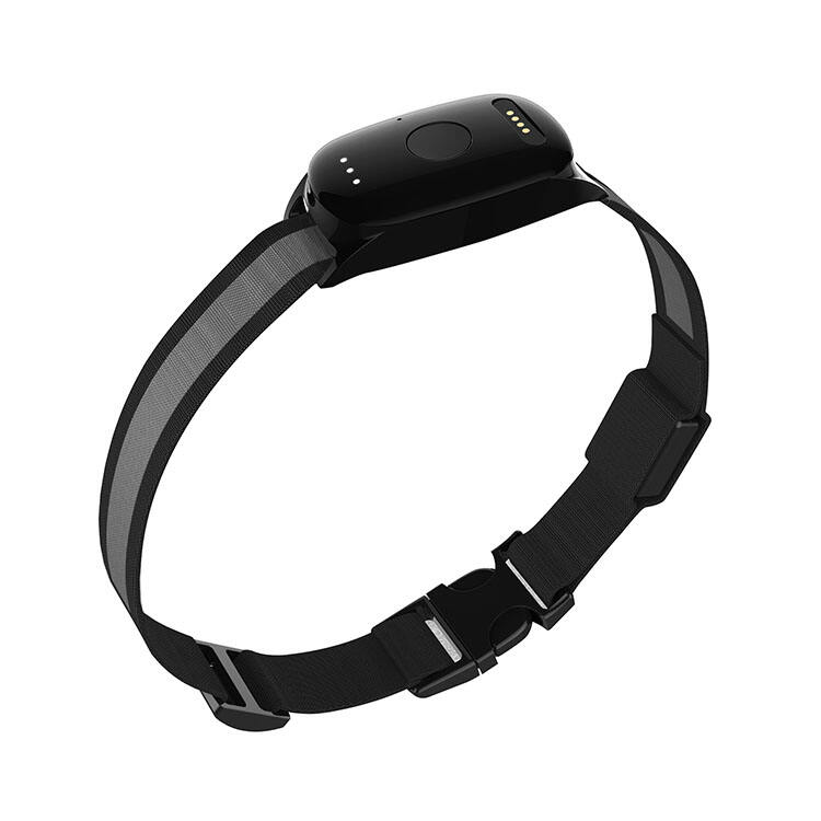 Comprehensive Health and Activity Monitoring System