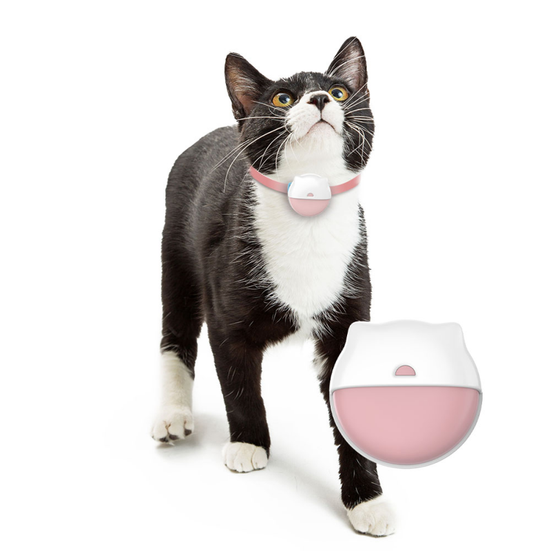 Track Your Cat with Confidence: Eview GPS Real-Time Tracker with Geo-Fencing