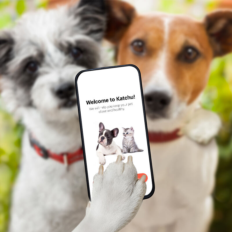 Eview GPS App Ensures Pet Safety with Instant Alerts and Tracking