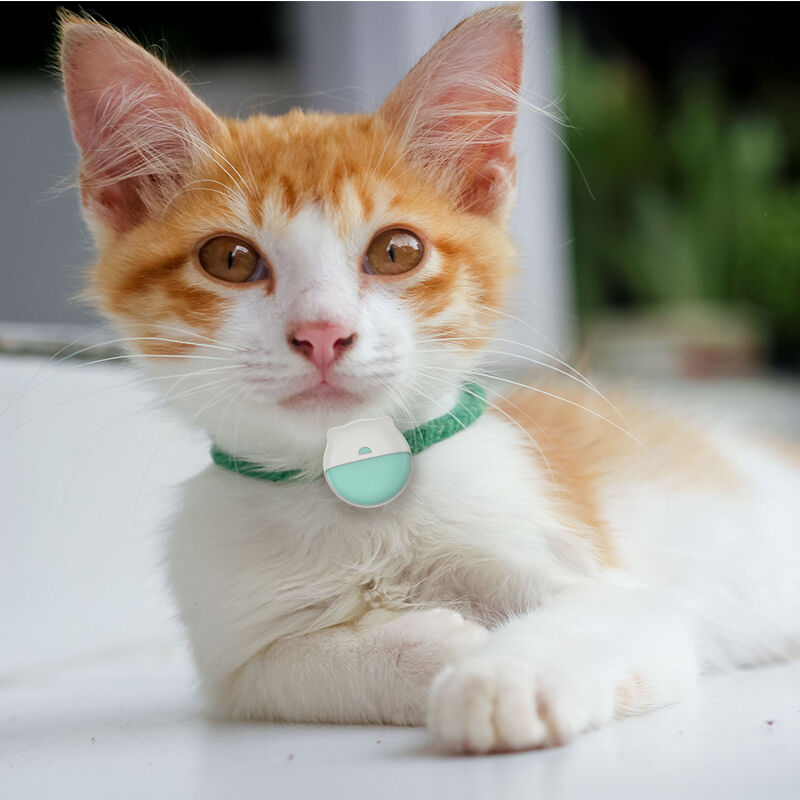 რომელი ფუნქციები ხდის კატების GPS ტრეკერებს იდეალურს კომერციული კლიენტებისთვის?