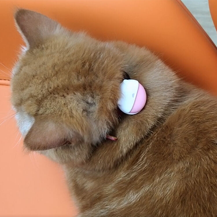 Technologie avancée de suivi GPS en temps réel