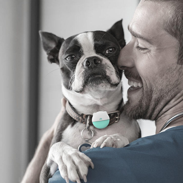 Intelligent Geofencing and Customizable Alert Systems