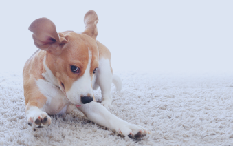 Az akkumulátor karbantartása