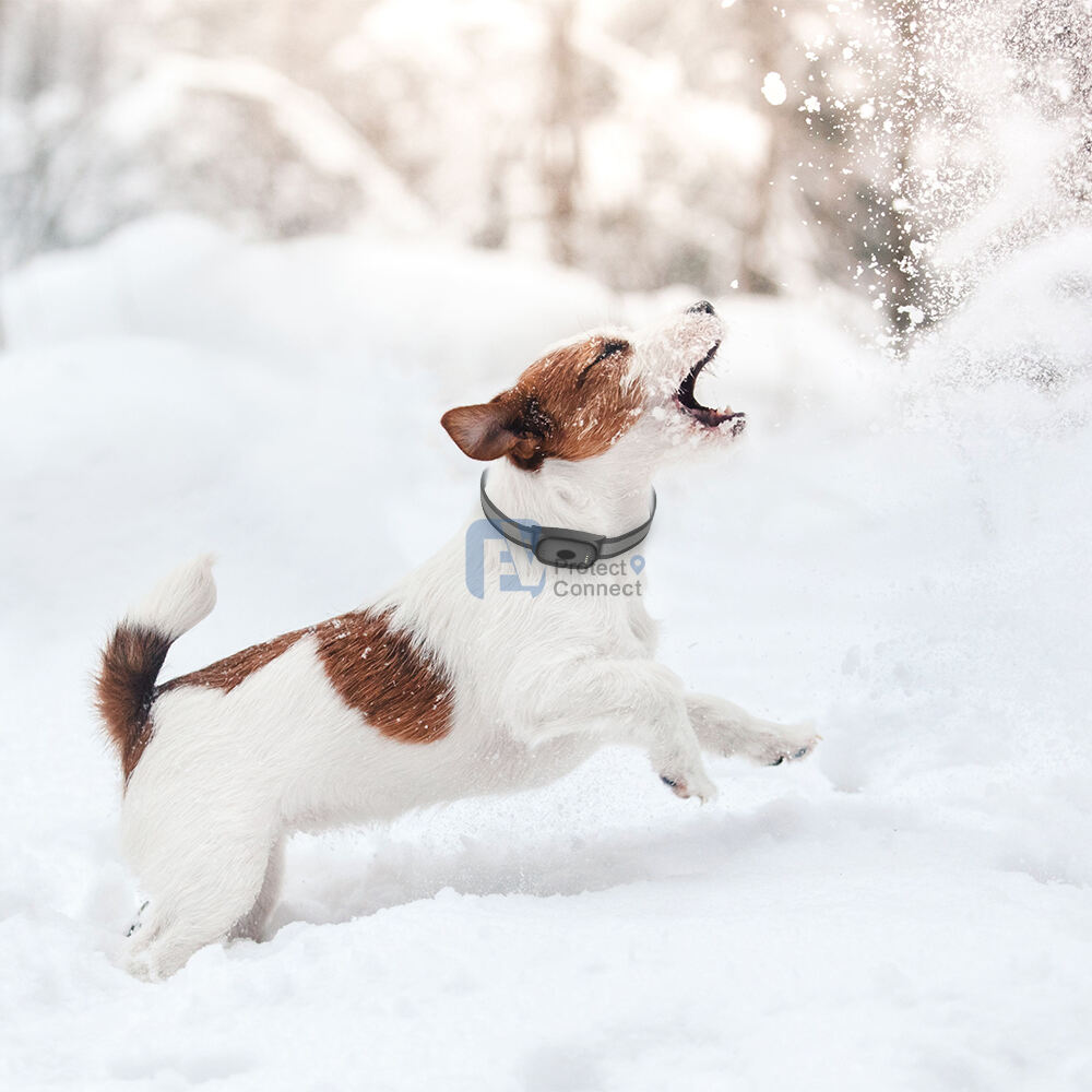 Comprehensive Health and Behavior Analytics