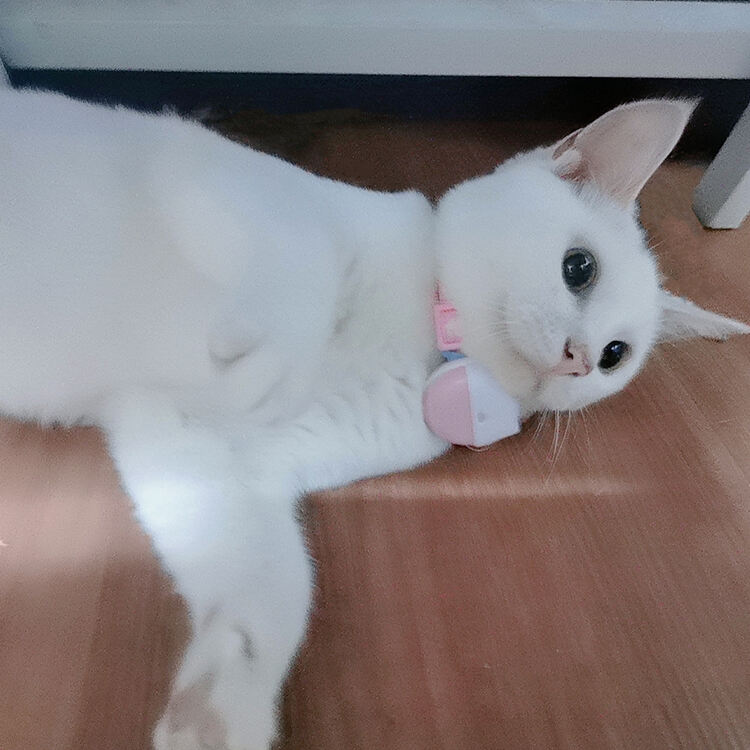 Monitorowanie lokalizacji GPS w czasie rzeczywistym