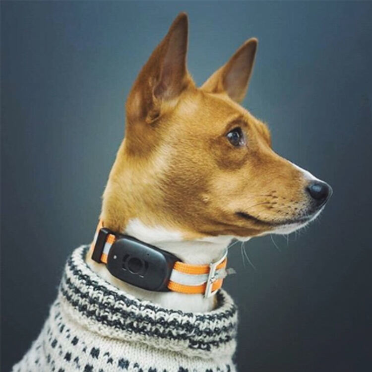 Comprehensive Health and Activity Monitoring System