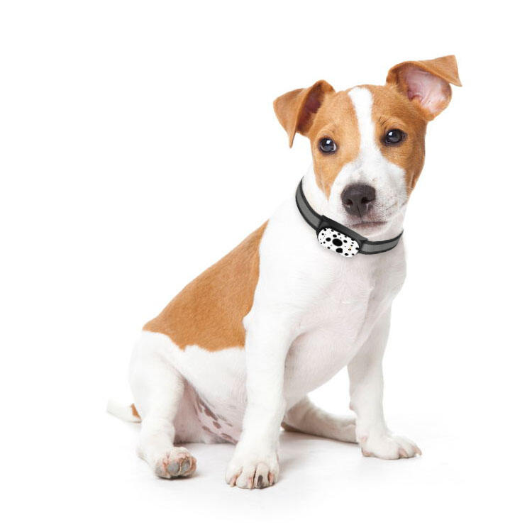 Komplexní sledování zdraví a aktivity