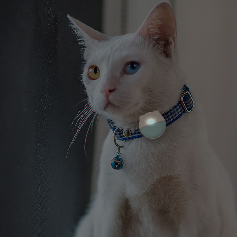 Eview GPS Cat Tracker: Real-Time GPS & Wi-Fi Location Tracking for Your Cat