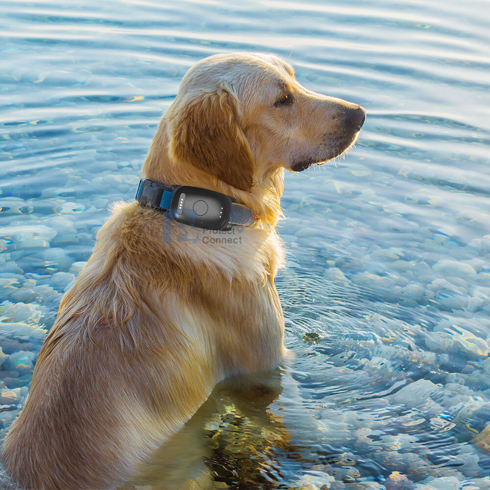 Inteligentní systém nouzového reagování a bezpečnostní funkce