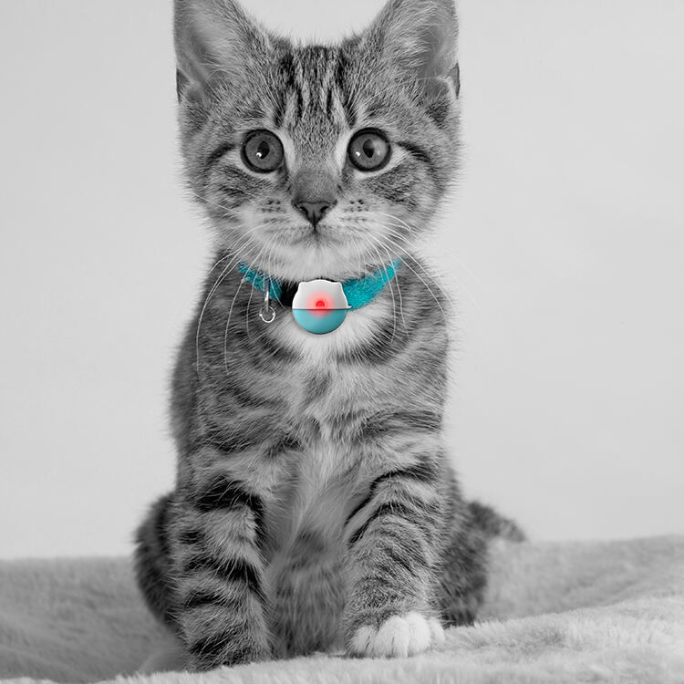 Advanced GPS Technology with Real-Time Precision Tracking