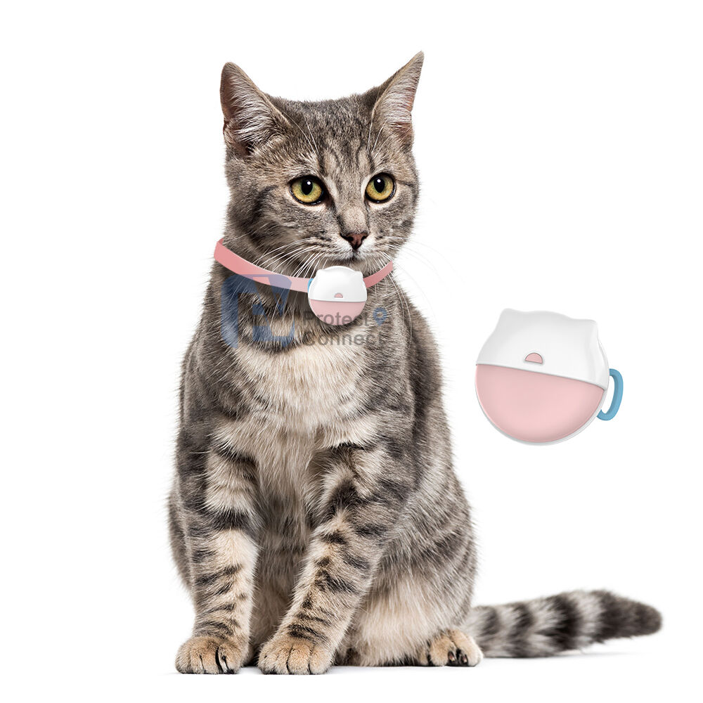 Best Cat Collar Tracker 2024: Advanced GPS Pet Location & Health ...