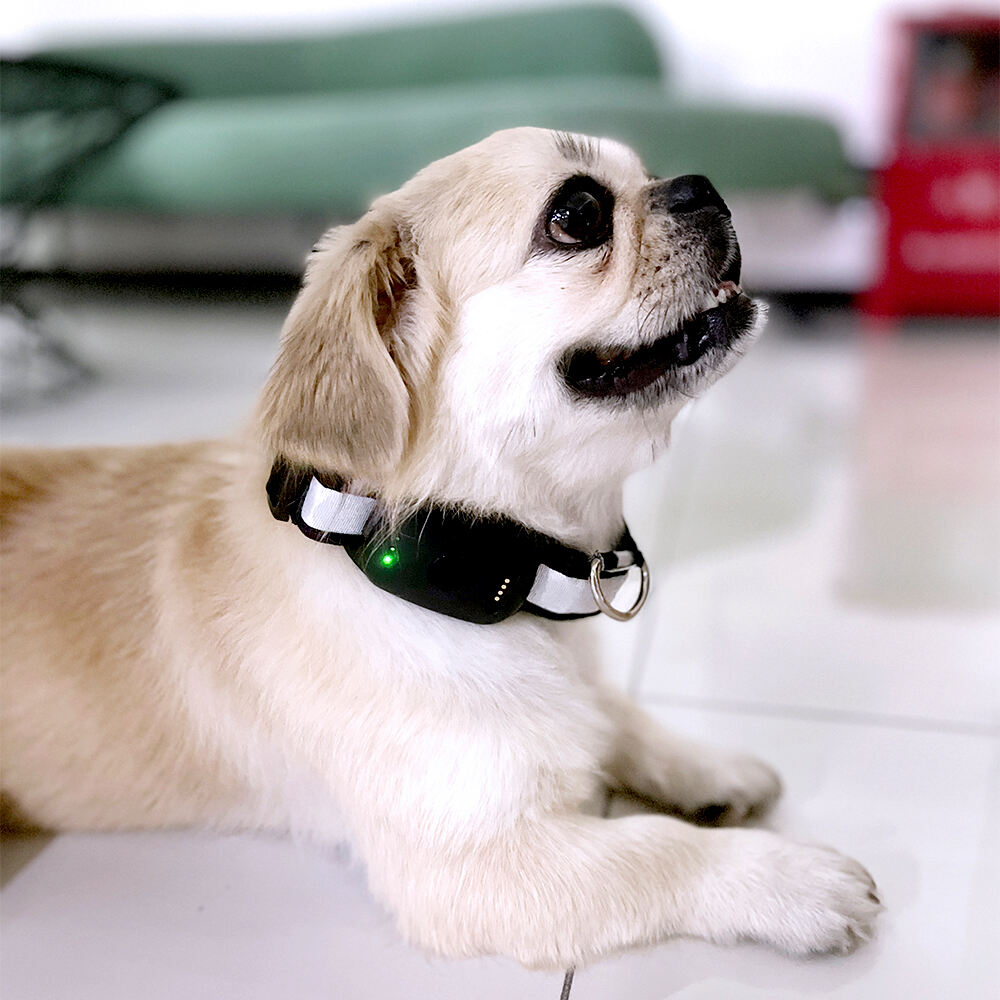 מערכת שימור בריאות ומעקב אחר פעילות כללית