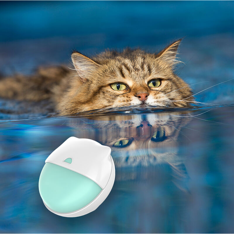 Track Your Cat Anywhere with Eview GPS EV-206M: Small, Precise, and Smart