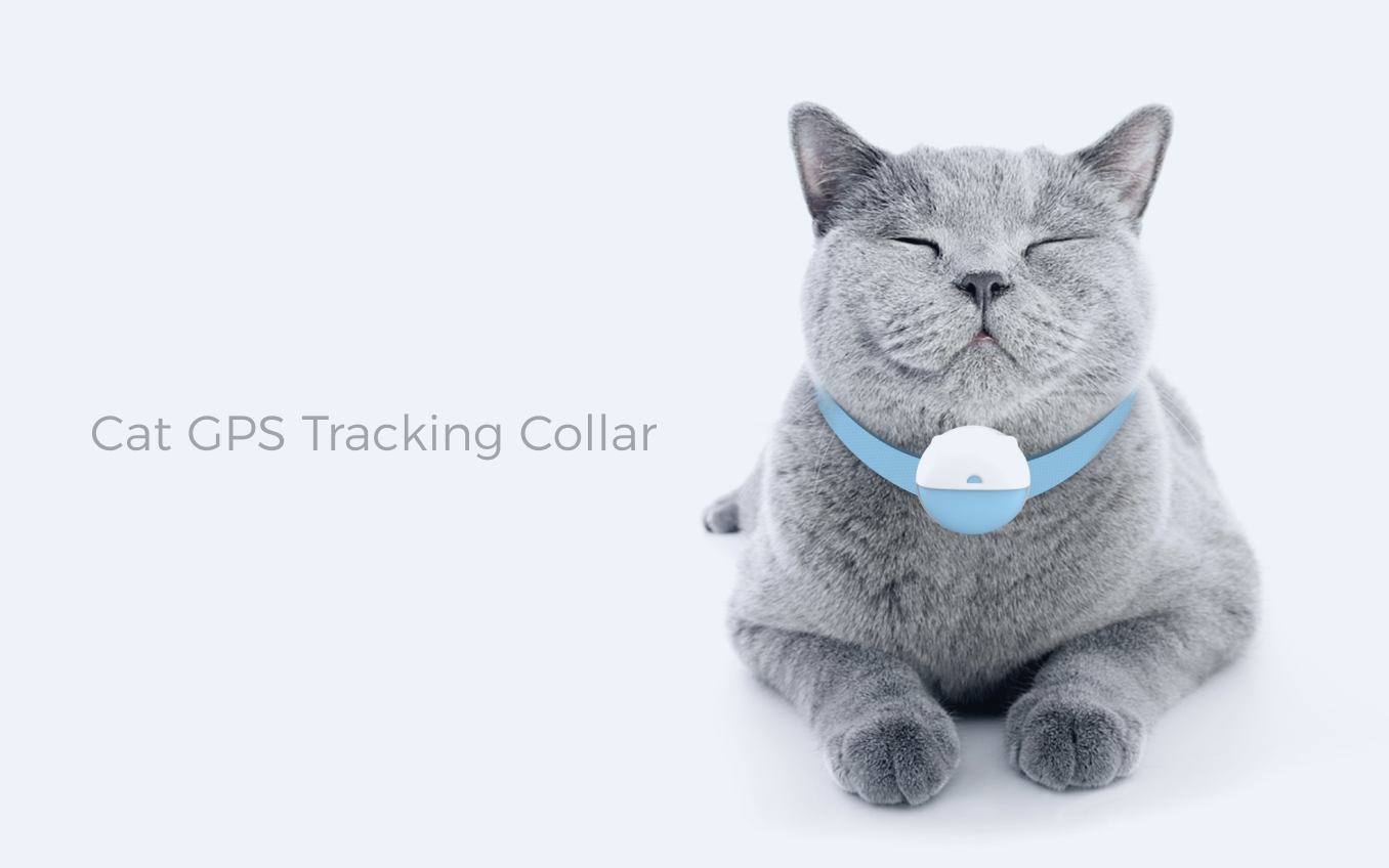 EV-206M -- Cat GPS Tracking Collar