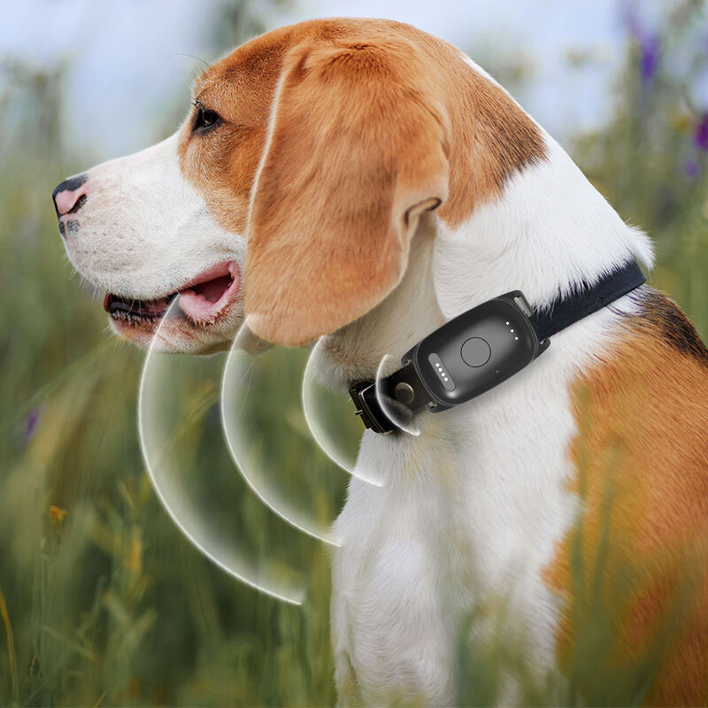 Eview GPS 4G Dog Tracker for Real-Time Pet Monitoring with Safety Boundaries