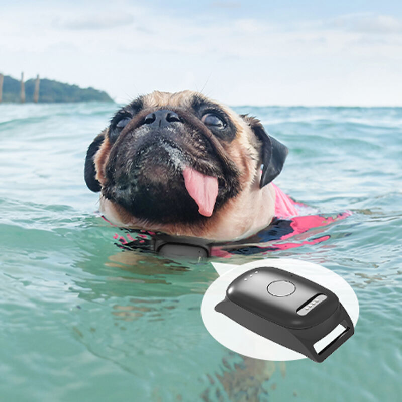 Eview GPS Anti-Lost 4G Dog Tracker with Live GPS Tracking and Safety Features