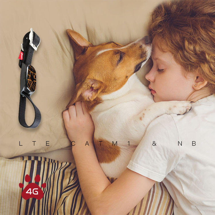 Comprehensive Health and Activity Monitoring System