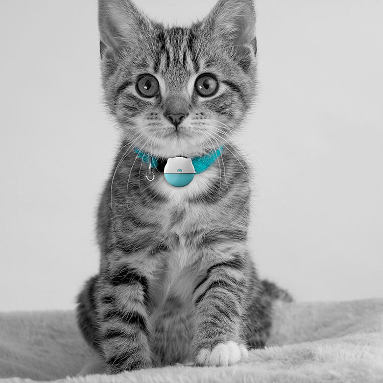 Intelligent Geofencing and Customizable Safety Zones