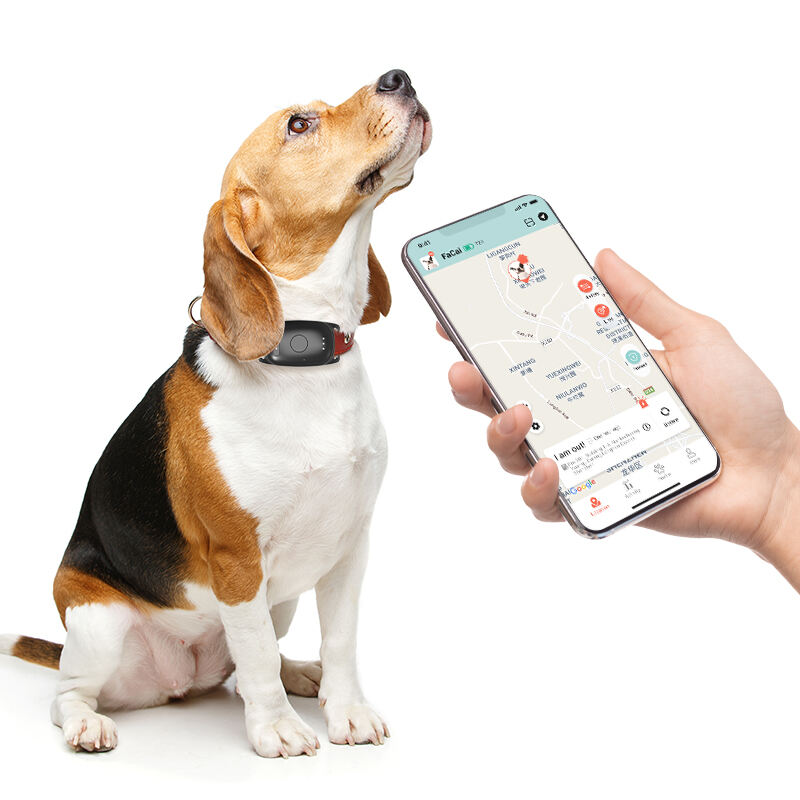 Бодит цагт Байршлын Нарийвчлал ба Яаралтай Тусламжийн Хариу Урьдчилсан