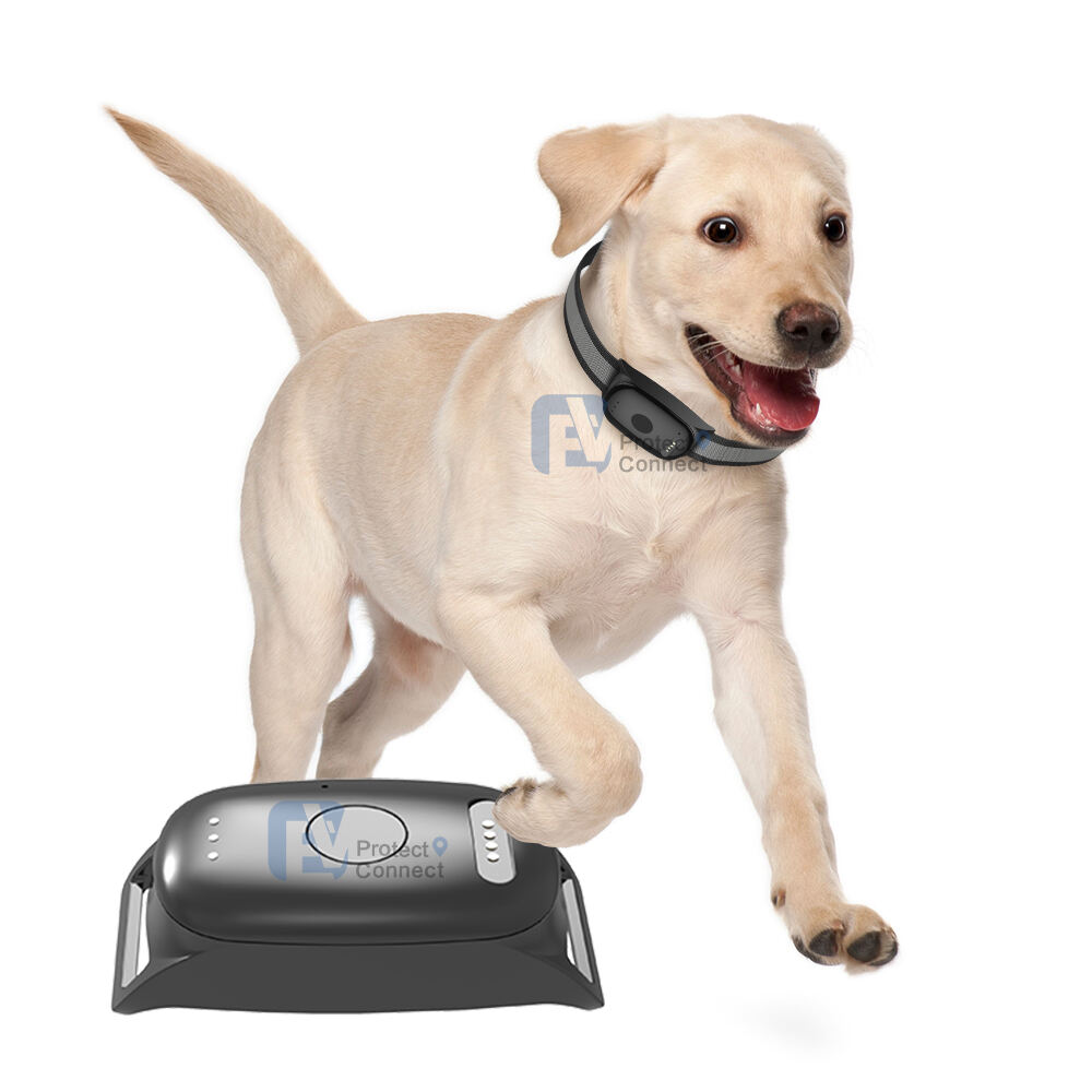 Akıllı Coğrafi Çit ve Özelleştirilebilir Güvenlik Alanları