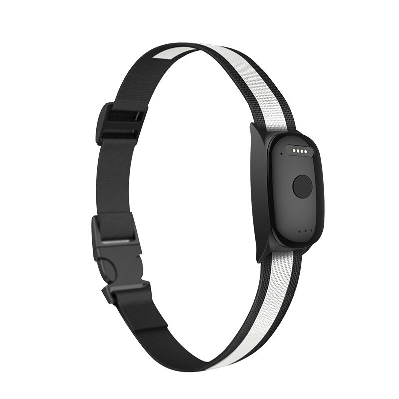 Comprehensive Mobile Integration and User Experience