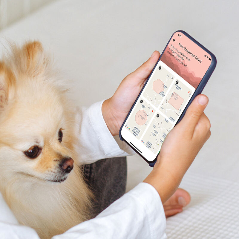 Keep Track of Your Pet with Eview GPS Tracking Solutions