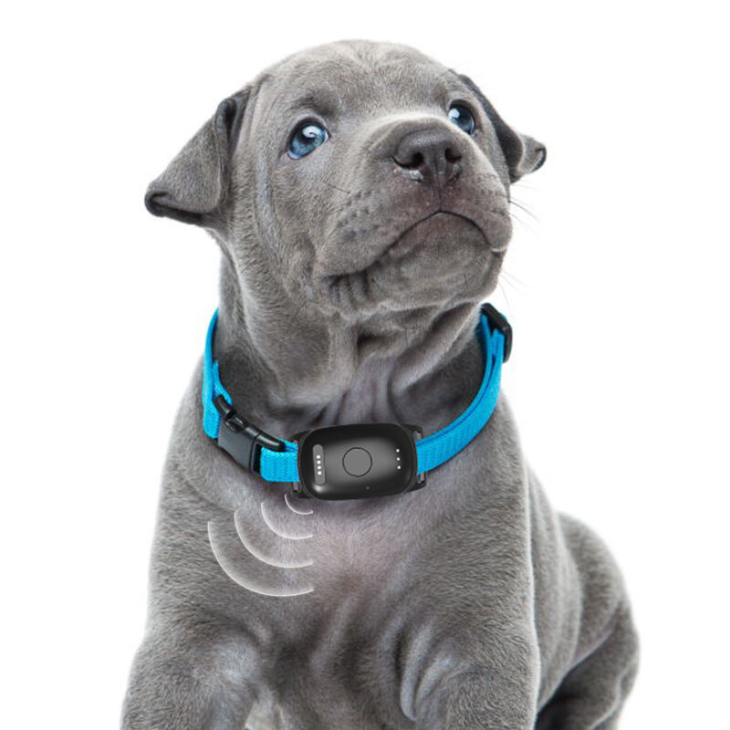 Advanced Real-Time Location Tracking with Precision Accuracy