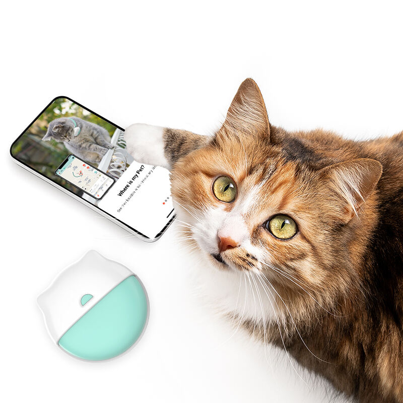 Stay Connected with Your Pet via Eview GPS Online Platform