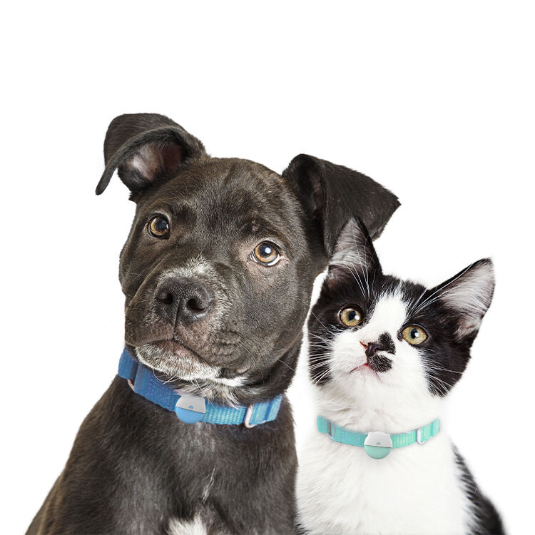 Ultra-Lehký Design Speciálně Vyvinutý pro Malé Pely