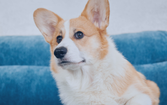 An bhfuil sé sin in ann scéalraíocht a sholáthar?