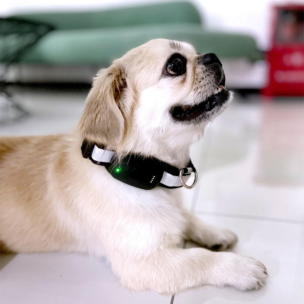 Robuste Langlebigkeit und Witterungsbeständigkeit