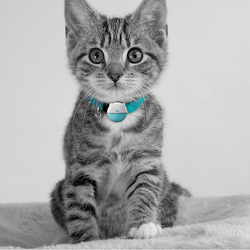 Multi-Platform Real-Time Tracking Capabilities