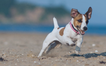 Is there any distance limitation for using the device?