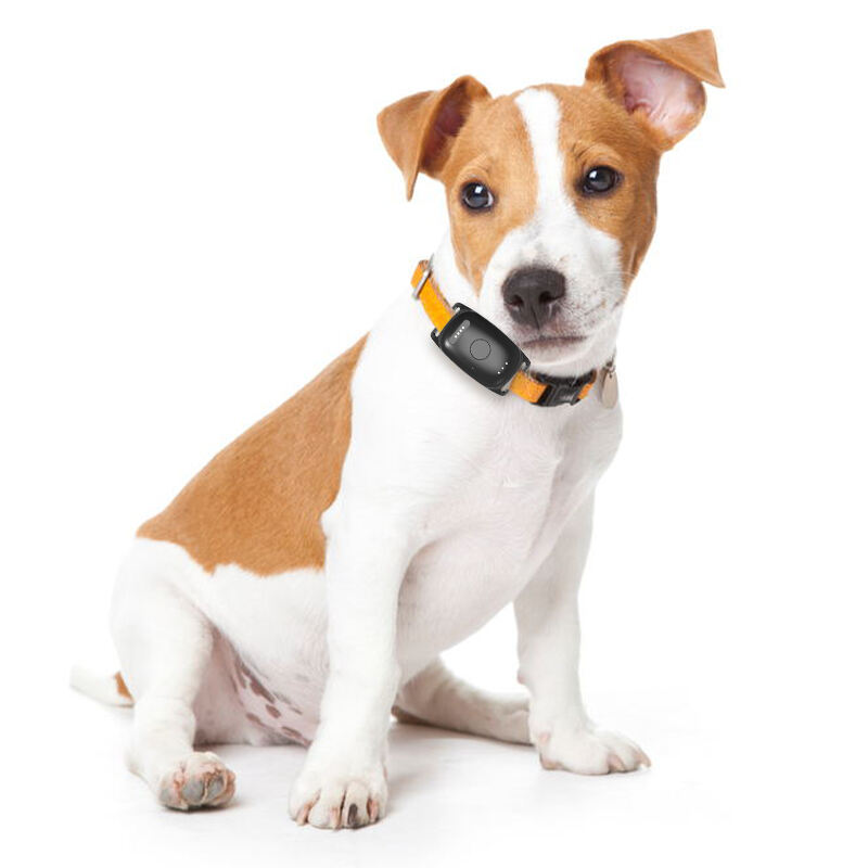 Extended Battery Life and Smart Power Management