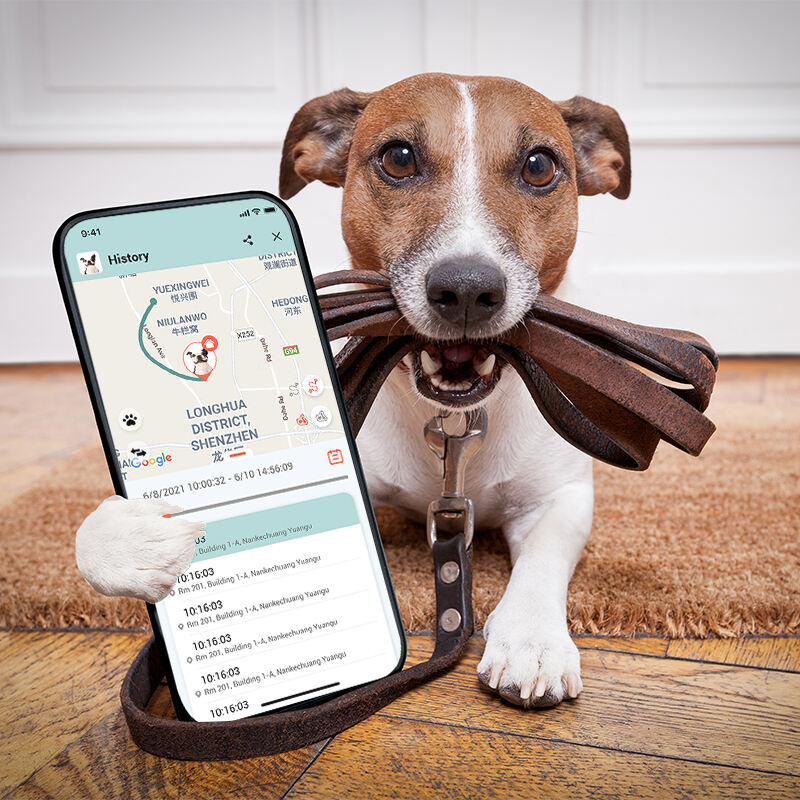 Track Pets with Eview GPS App for Real-Time Location Updates