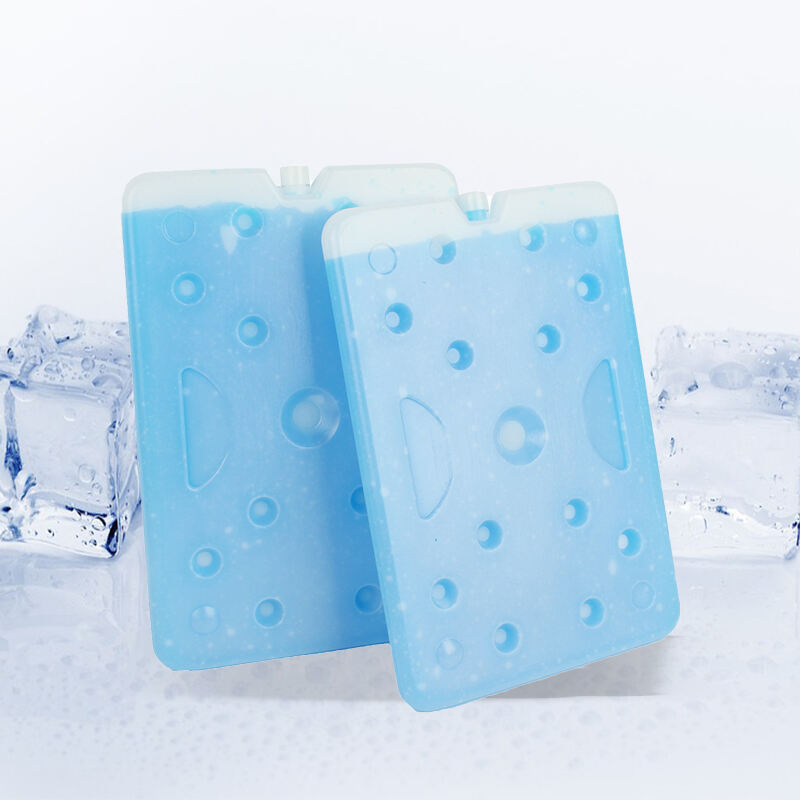 Filled Water Insulated Thermal HDPE Freezer Ice Block