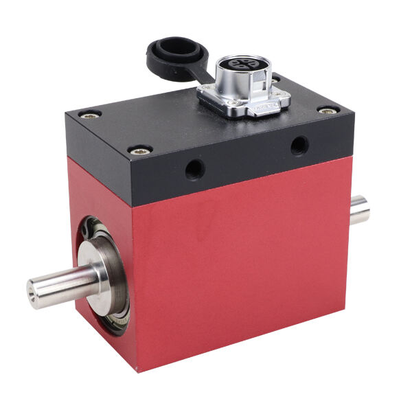 dynamic torque sensor.jpg