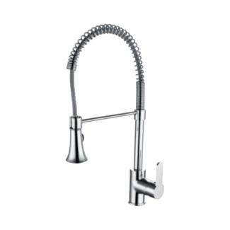 T1021 Kitchen Sink Mixer