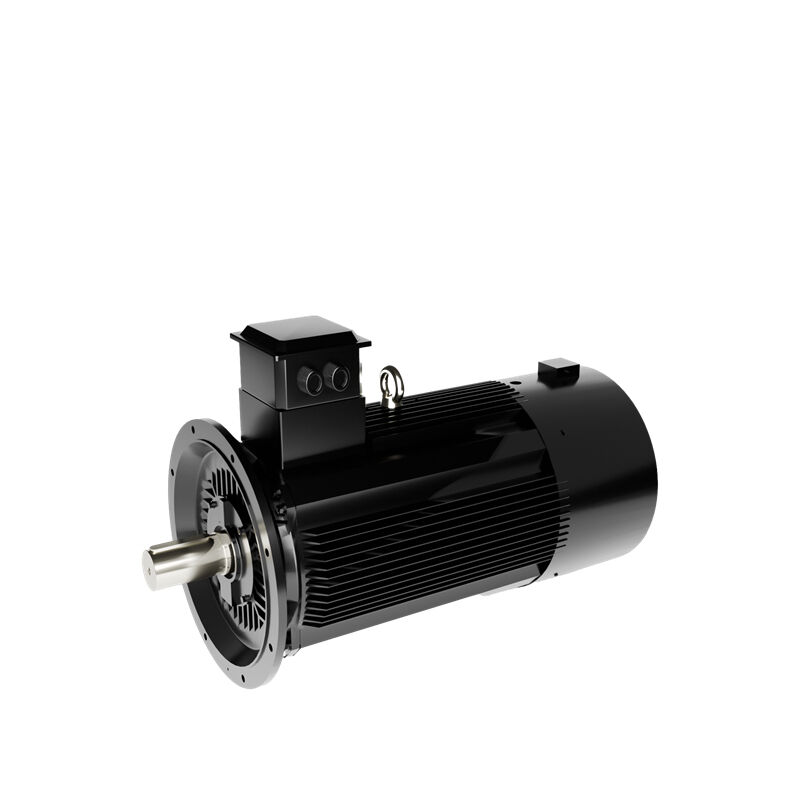 Moteur électrique pour compresseur d'air 5,5kW-160kW