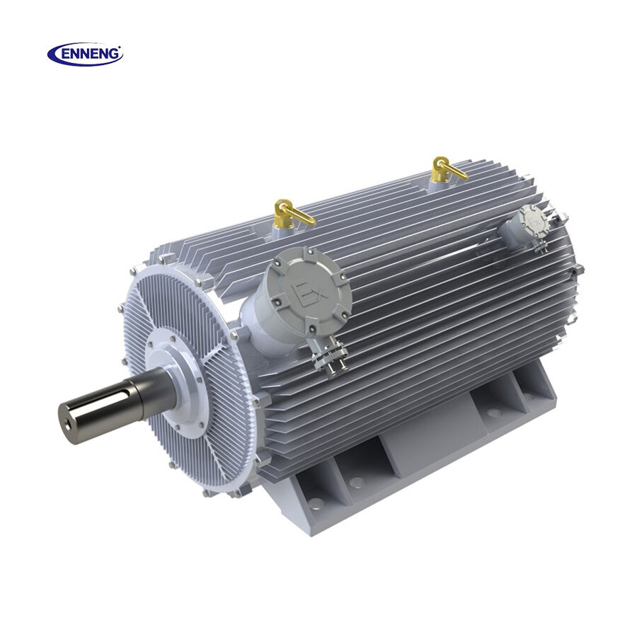 A professional High Efficiency Motor Supplier relies on systematic prototype verification to validate custom specifications before committing to series production.