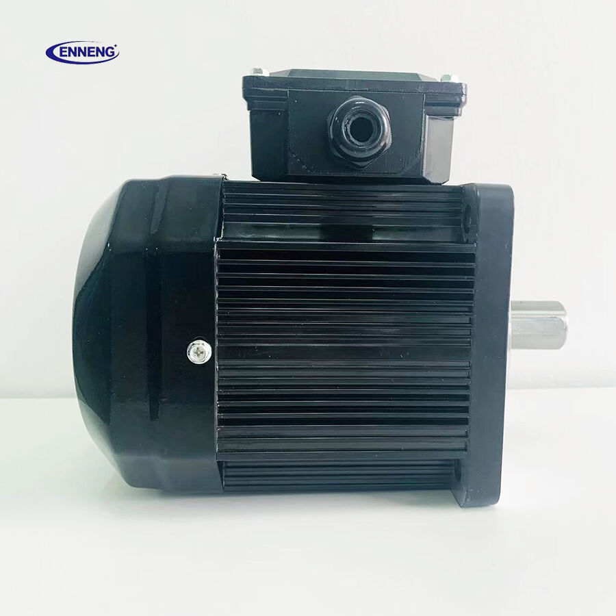 How High Efficiency Motor Supplier judges project feasibility for overseas custom motor requirements