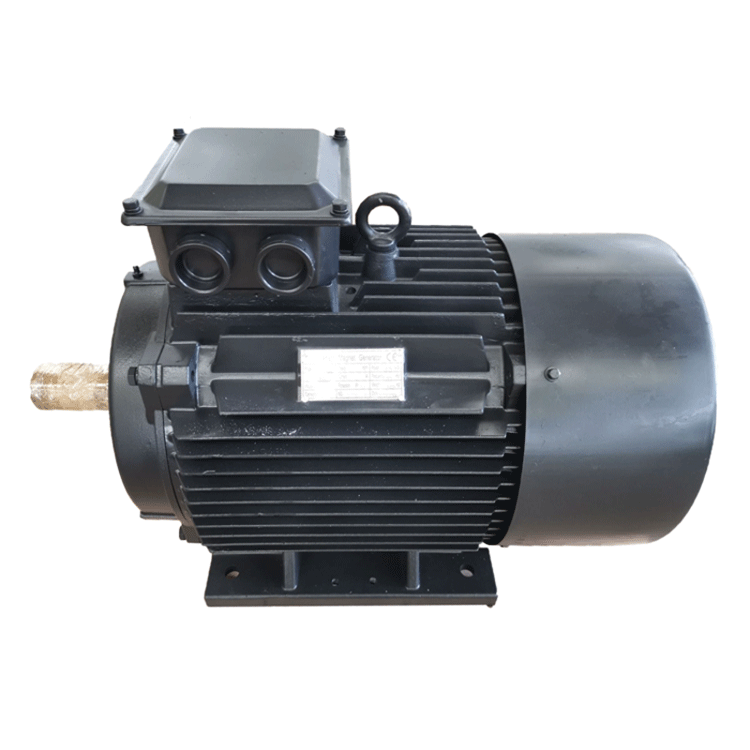 Diesel-Powered Permanent Magnet Generator