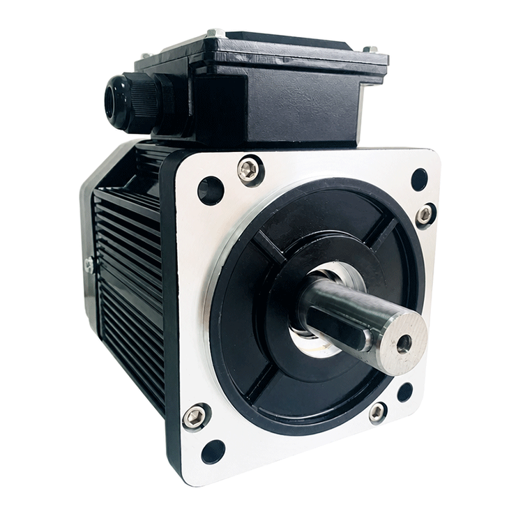 Electro-Hydraulic Servo PMSM Motor for Injection Molding & Presses 