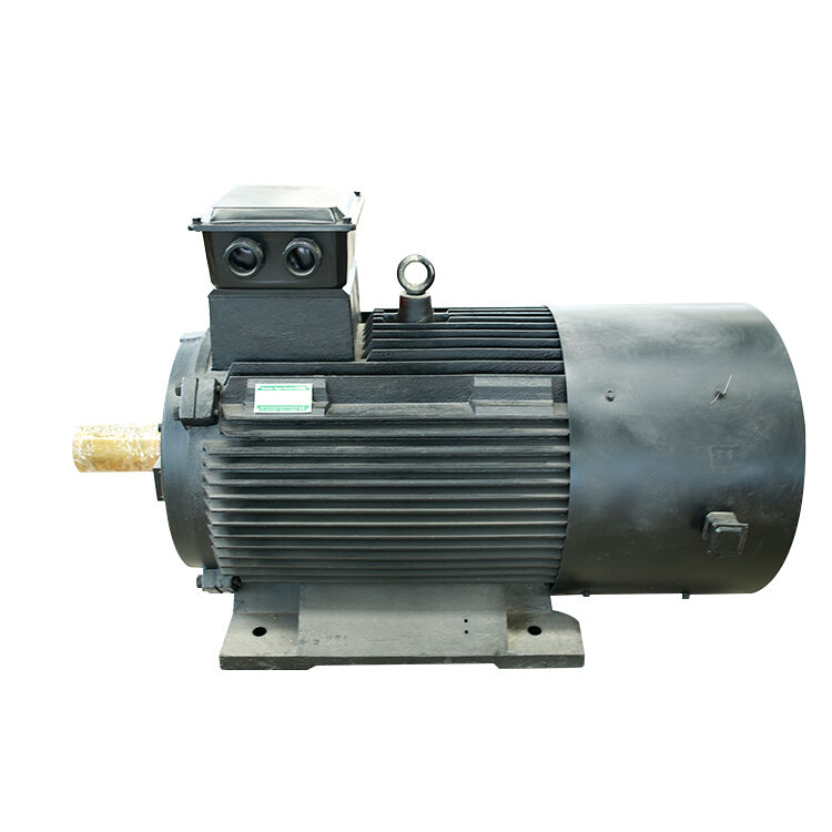 How High Efficiency Motor Supplier judges project risk for overseas custom motor requirement