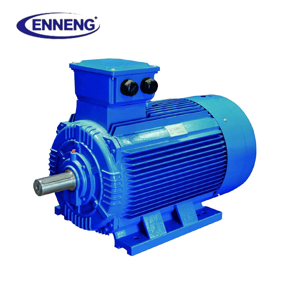 Executing a disciplined Retrofit Induction to PMSM conversion stabilizes plant electrical power factor and cuts maintenance downtime for municipal wastewater treatment facilities.