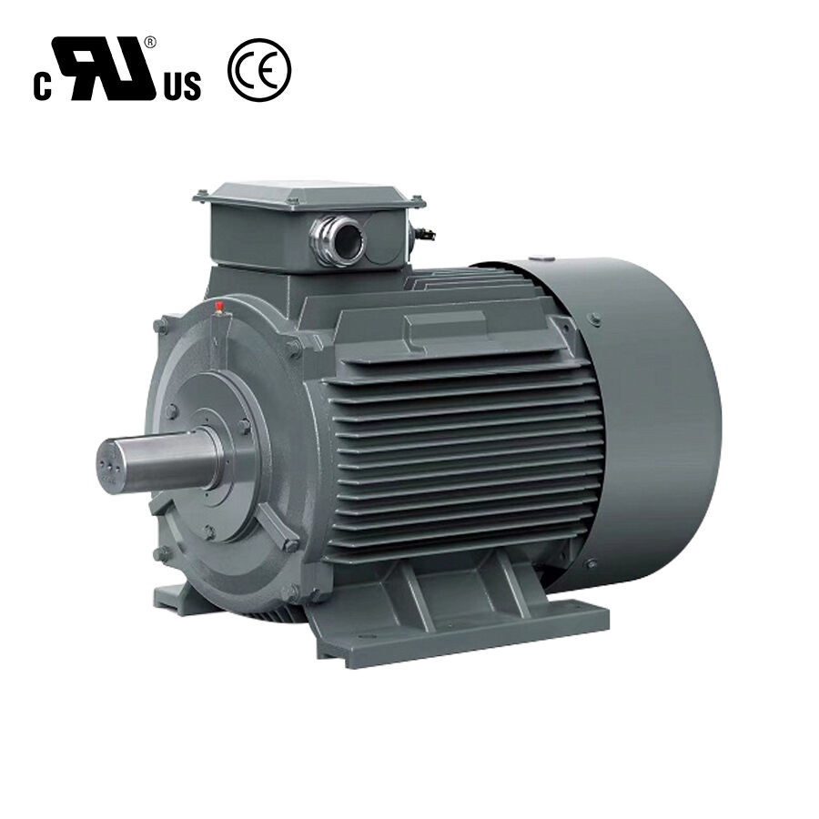 Why short‑term purchase price cannot dominate PMSM vs Induction Motor Cost comparison results