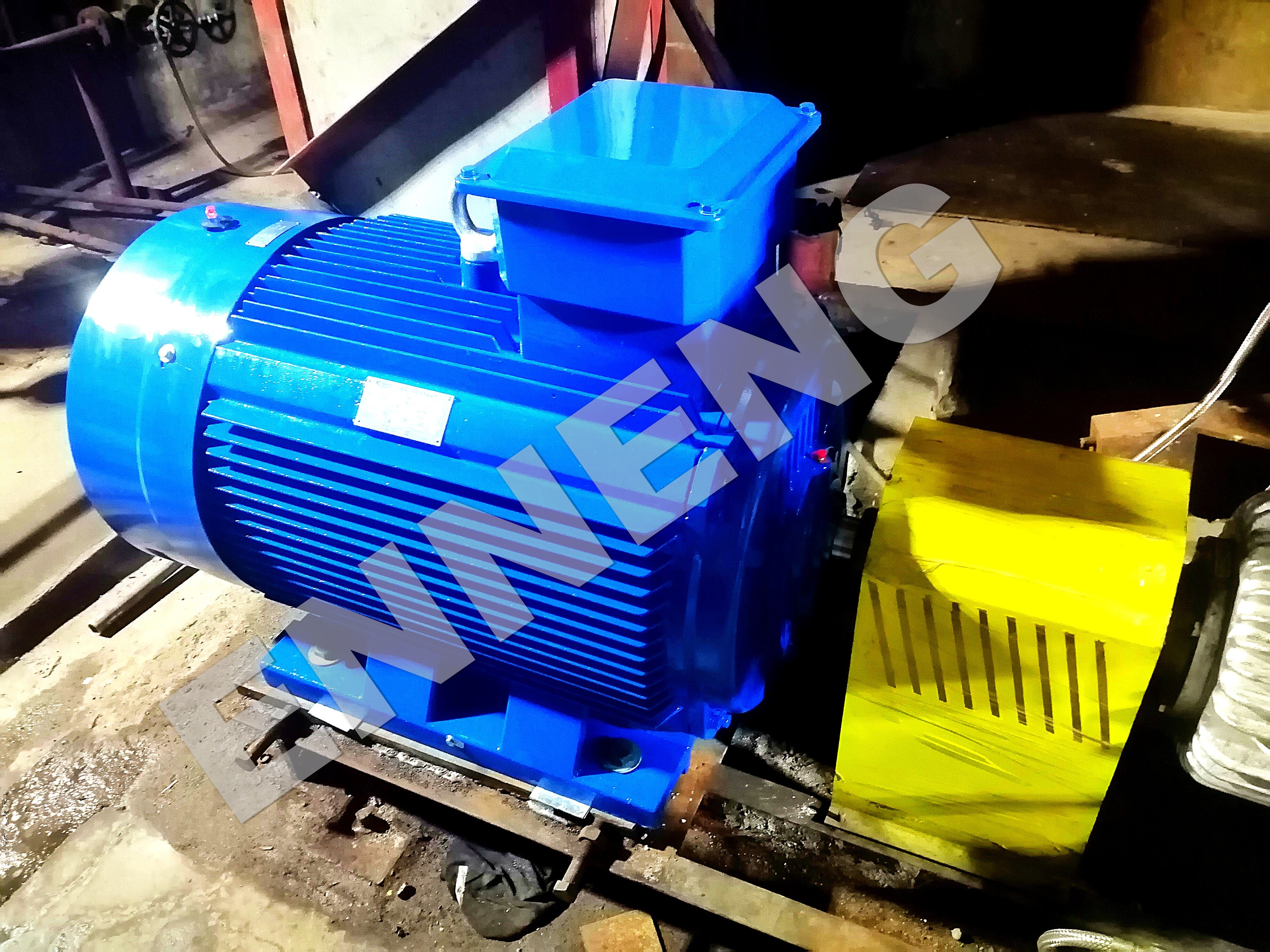 ENNENG High Efficiency Motor Supplier