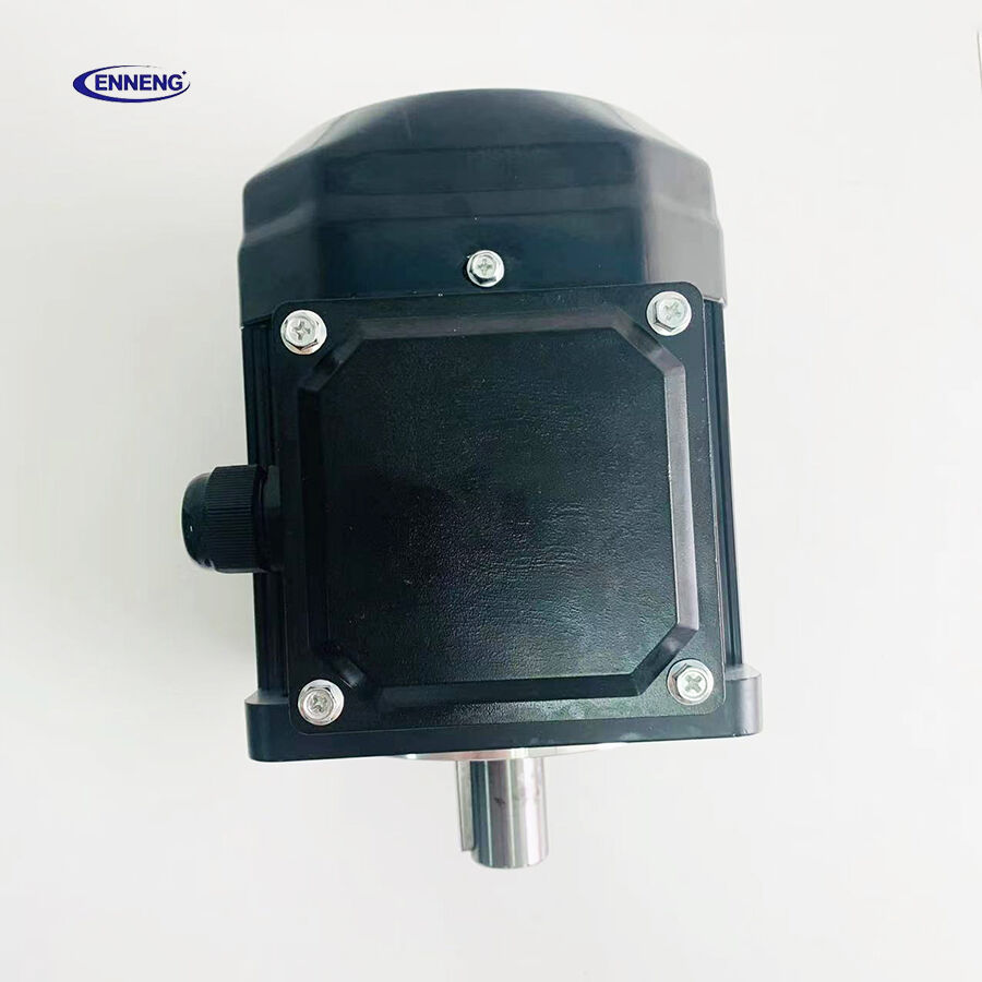 Defining clear factory acceptance criteria and test documentation upfront ensures the delivered permanent magnet motor integrates smoothly and meets every operational target.